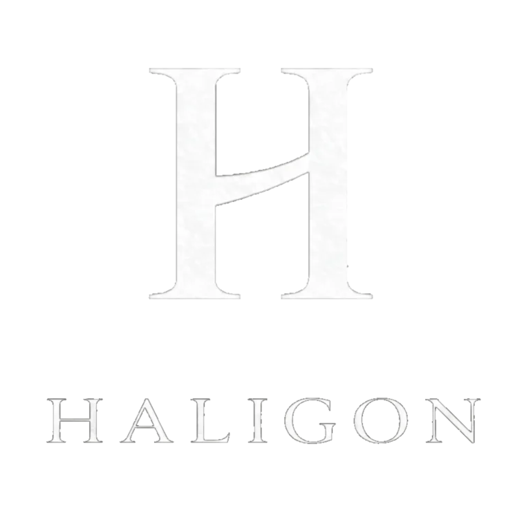 Logo de l’atelier Haligon - Art & Concept